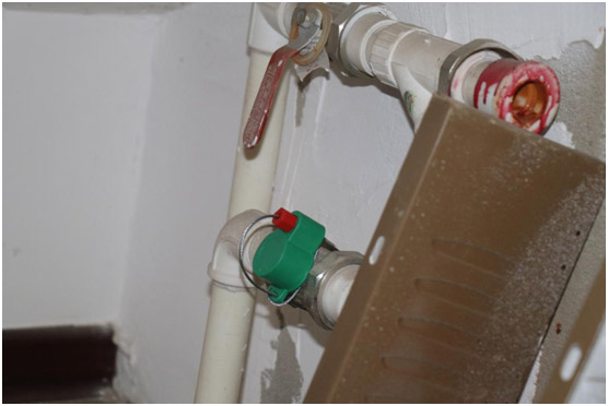 1624024561711355.jpg 1624024561711355.jpg