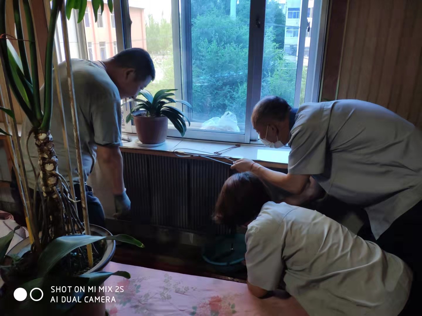 1634261844324818.jpg 06.jpg